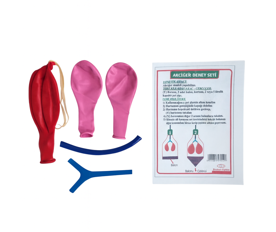 MRC AKCİĞER DENEY SETİ 24 LÜ