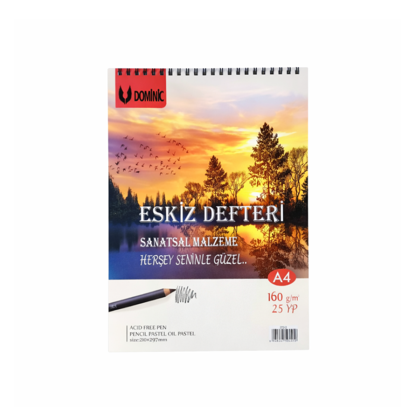 DOMİNİC ESKİZ A4 160 GR 25 YPR